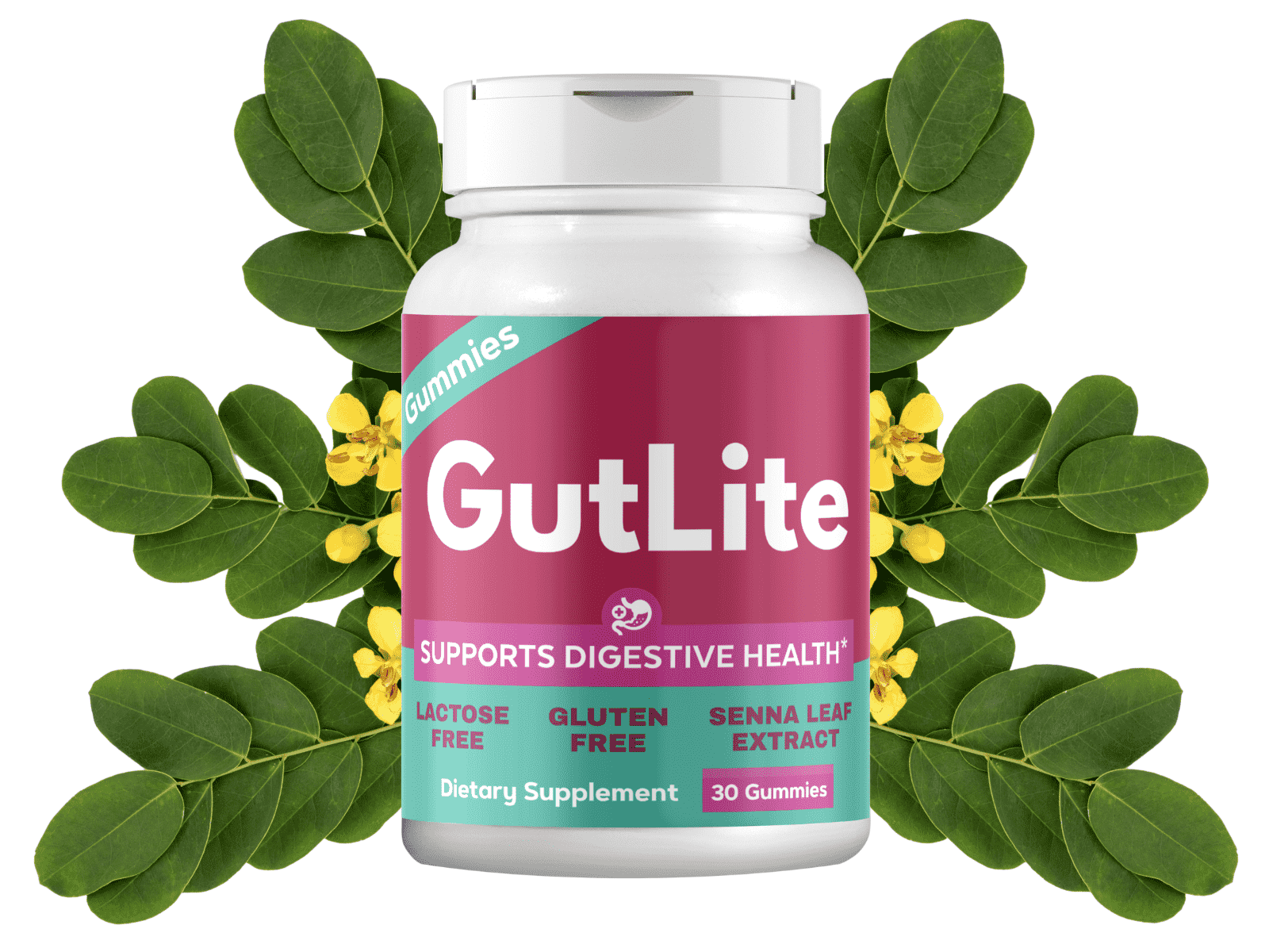 GutLite gummies